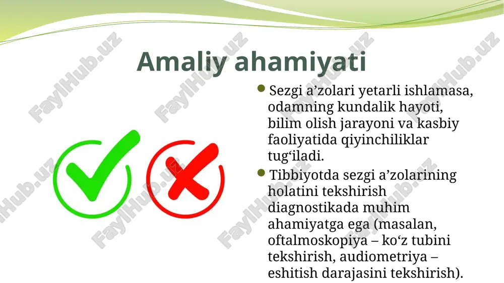 sensor (analizatorlar)tizimifiziologiyasi - Page 5