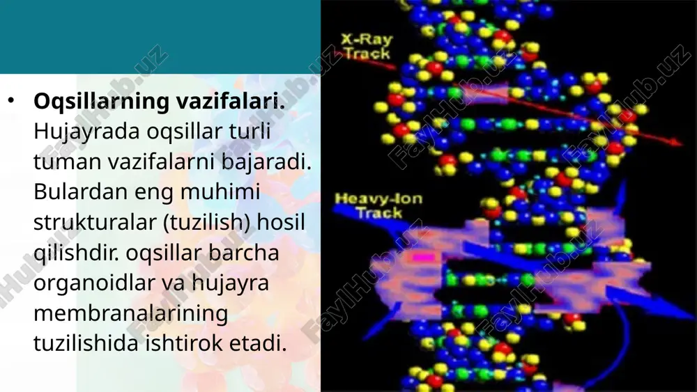 oqsillar.aminokislotalar dars ishlanmasi - Page 5