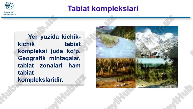 tabiatzonalari - Page 5