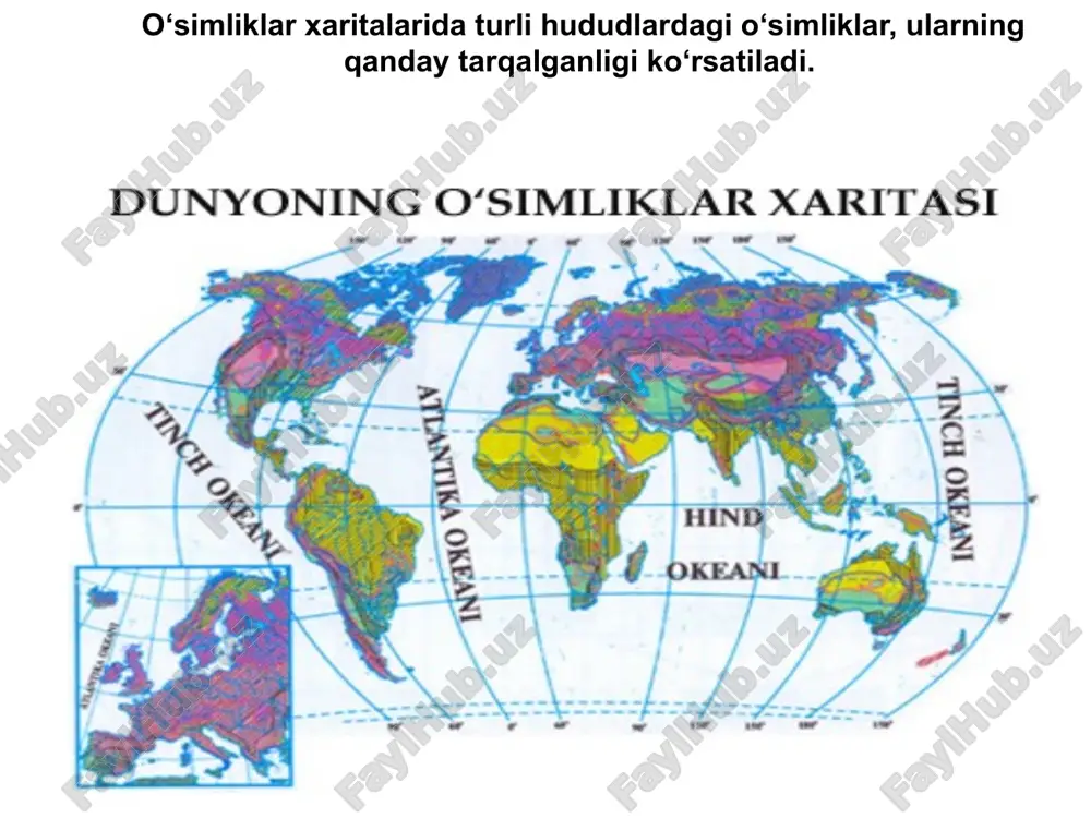 geografik xarita - Page 5