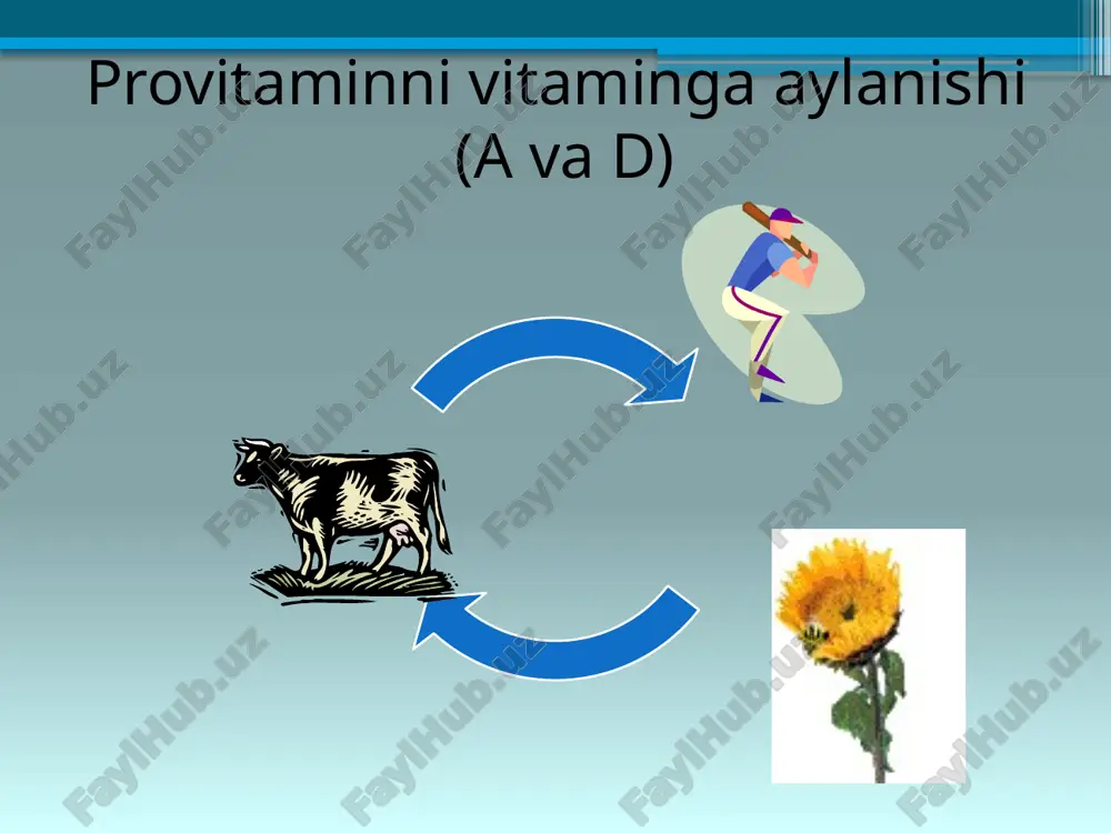 yog’da eriydigan vitaminlar - Page 5