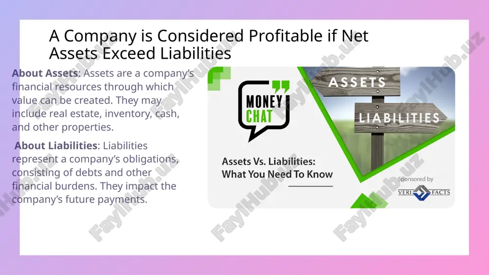 assets , liabilities and the balance sheet - Page 5