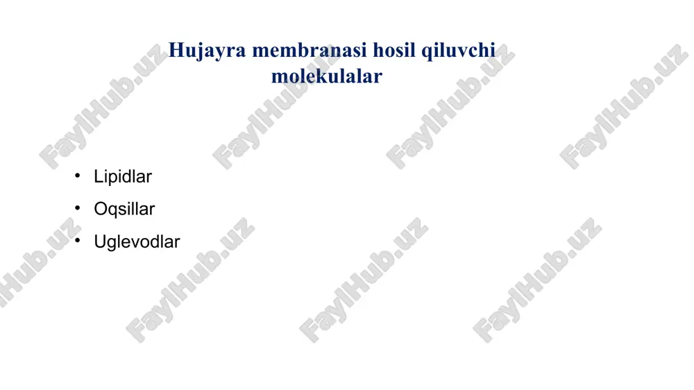 hiicre zarinin yap1s1 - Page 5