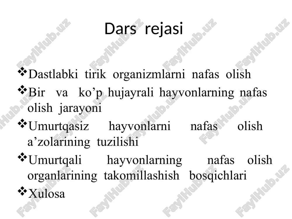 hayvonlarning nafas olish organlari evolutsiyasi - Page 5