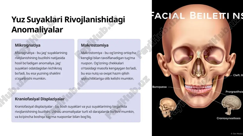 yuz suyaklari: yosh va jins xususiyatlari va anomaliyalari - Page 5