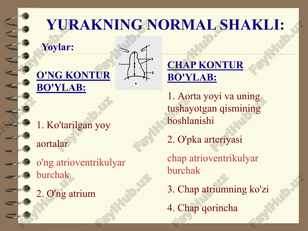 k qopqog'i yoyildi. ochiq atrioventrikulyar kanalning (avc) oraliq shaklining ekogrammalari. ochiq atrioventrikulyar kanalning (avc) oraliq shaklining ekogrammalari. mk oldingi qopqog'ini uning tagida sistolik diastaz bilan ajratish. apikal to'rt kamerali holatda ptc bilan kasallangan bolaning sonogrammasi. kattalashtirish rejimi. o'qlar tkning old va septal qopqoqlarini belgilaydi. ko'proq darajada (4 mm) old qanot (chap o'q) siljiydi. aorta qopqog'ini yopiq va ochiq holatda 3d rekonstruksiya qilish. sonos 5500, hewlett-packard firmasining transtorasik omniplan sensori. kompyuter tomografiyasi yurakning ikki kamerali o'ng qorinchasining izolyatsiya qilingan shakli. mr-tomogramma, spin-echo. t1-qisqa o'q bo'ylab vaznli tasvir. o'ng qorincha bo'shlig'i g'ayritabiiy mushak (o'q) tufayli deformatsiyalanadi. oddiy joyda aorta atreziyasi a-odatdagi joyda aorta atreziyasi bo'lgan bemorning bir qator tomogrammalari. qarama-qarshi aorta yoyi (1), tushayotgan aorta bo'limining toraygan qismi (2). aorta o'rnida qarama-qarshi shnur mavjud (3).tushayotgan aortaning distal qismining qarama-qarshi qismi (4). aorta koarktatsiyasining naychali varianti a-kontrastli spiral kompyuter tomografiyasi yordamida amalga oshirilgan to'rtta ketma-ket tomogrammalar. yelkaning kengayishi-bosh arteriyalari (1). diametri kattalashgan aorta …