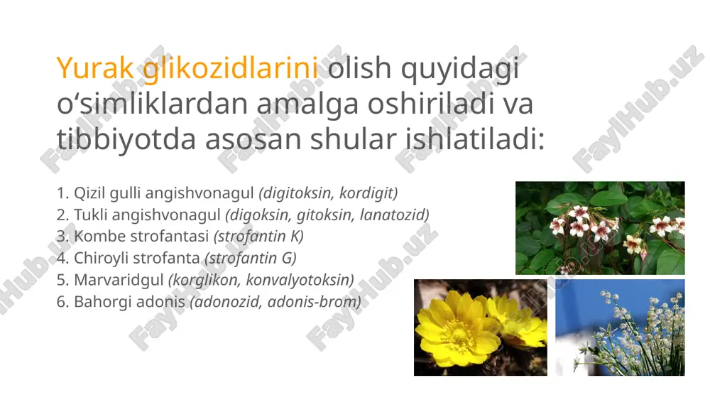 yurak glikozidlari - Page 5