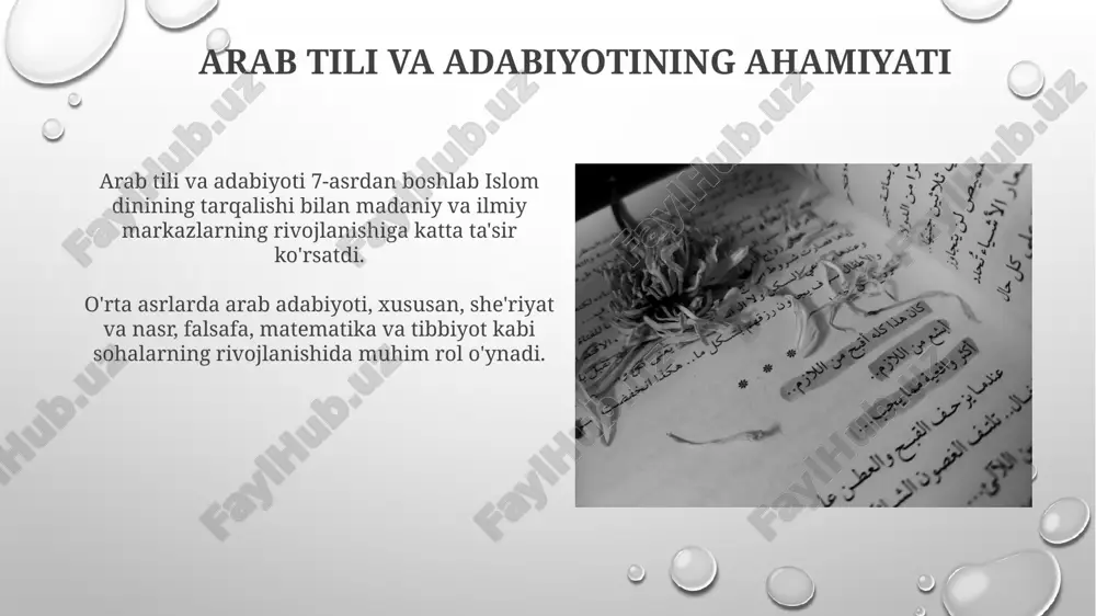 arab manbalari - Page 5