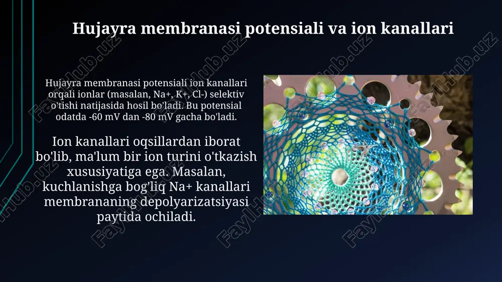 biologik to'qimalarni elektr xossalari - Page 5