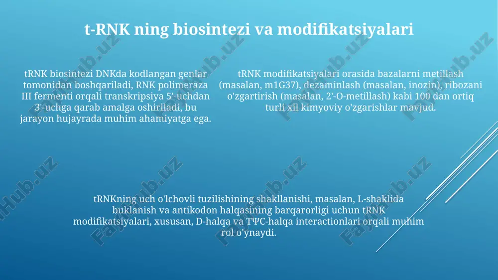 t-rnk - Page 5