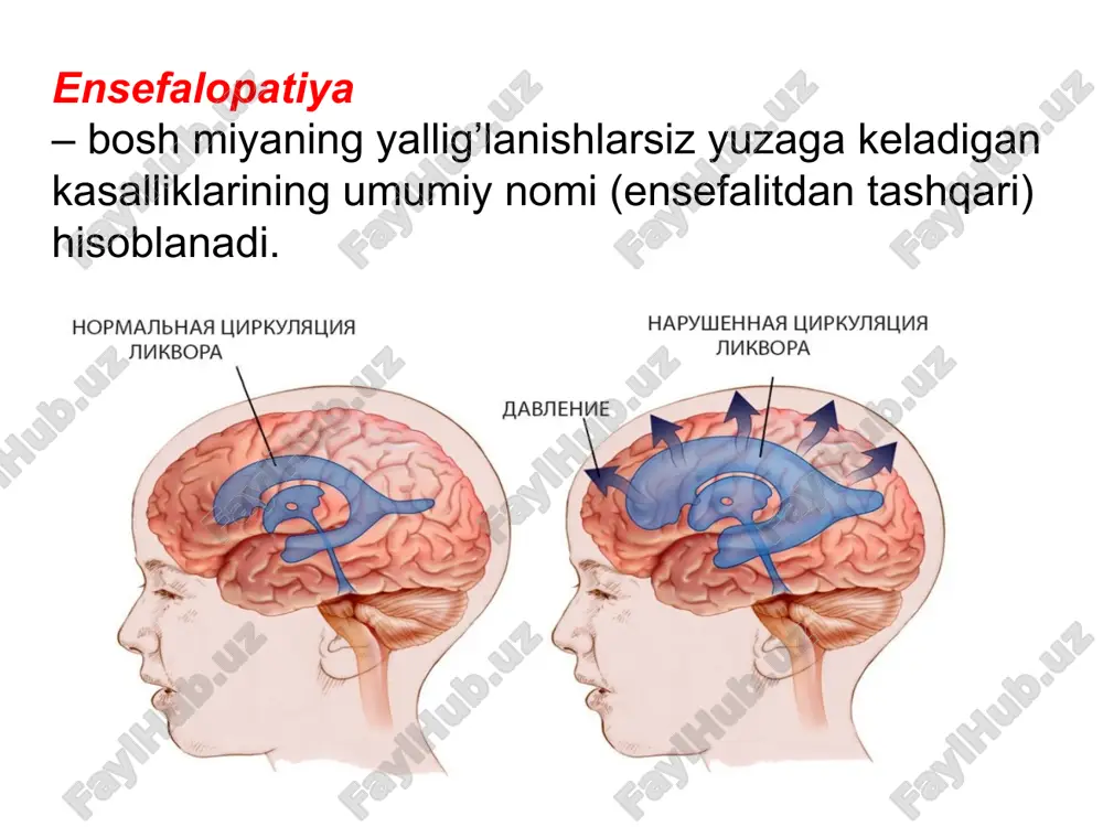 bosh miya kasalliklari nur tashxisi - Page 5
