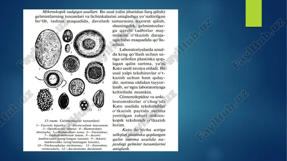 parazitar kasalliklarning dizgnostika usullari - Page 5