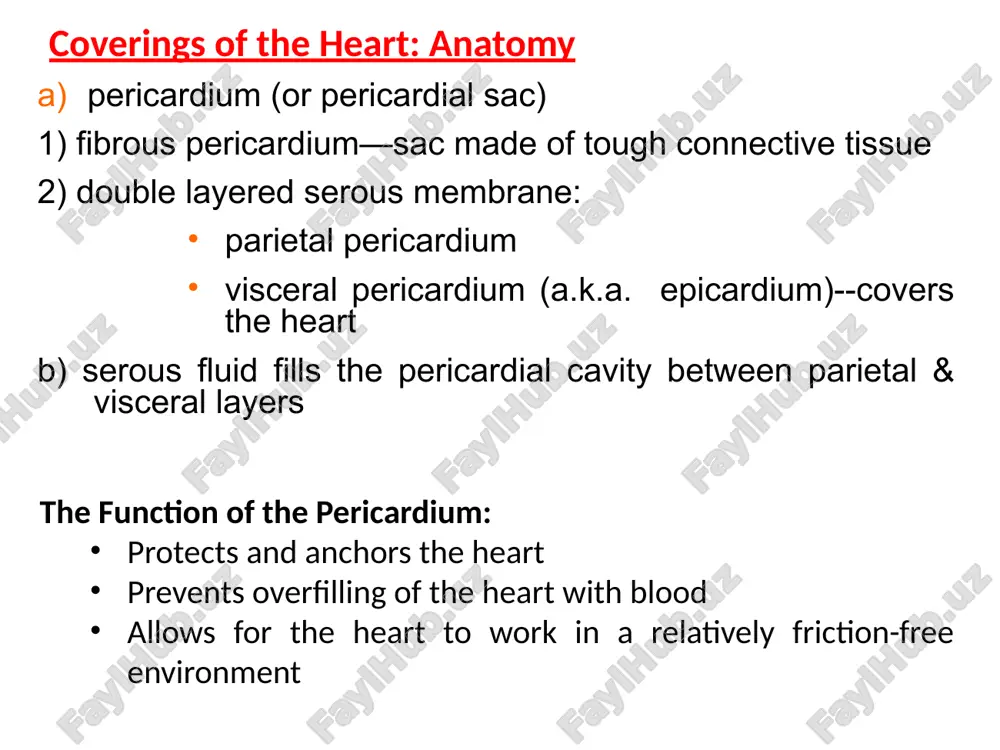 cardio-vascular system - Page 5