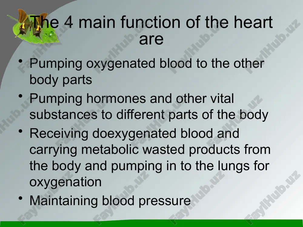 heart diagram - Page 5