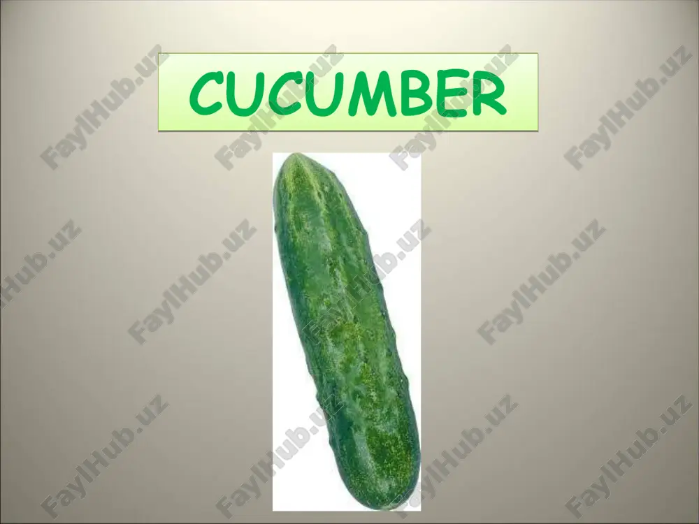 cucumber - Page 5