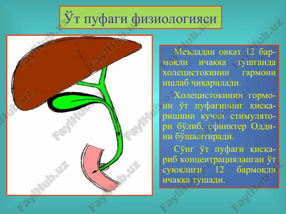 o't tosh kasalligi.xoletsistitlar, diagnostikasi va davolash - Page 5