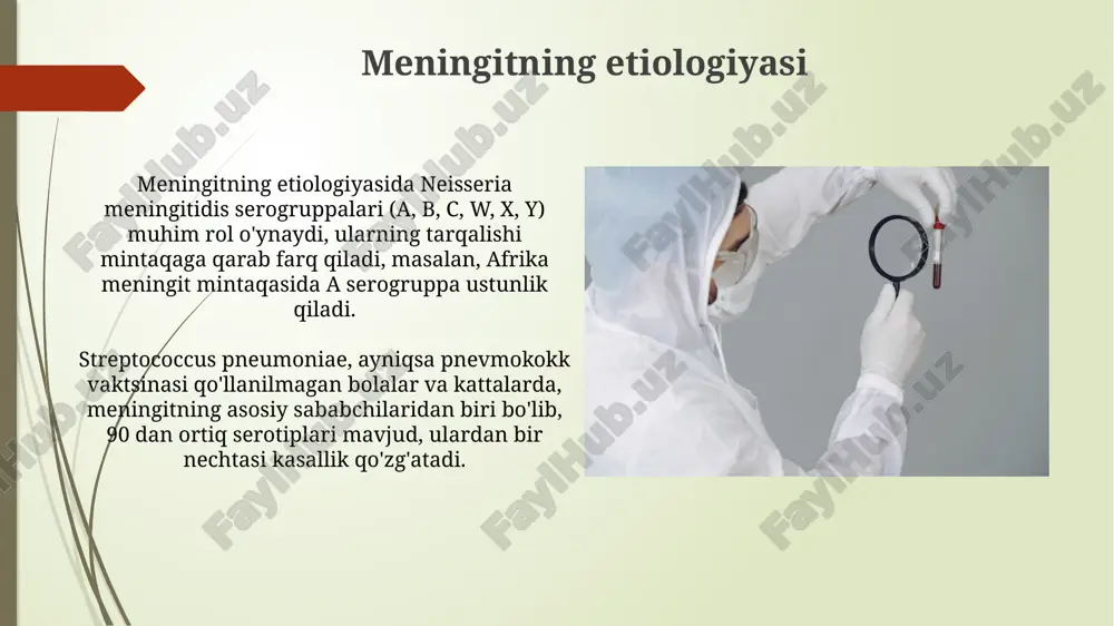 meningit kasalligi qoʻzgʻatuvchisi, labartoriya diagnostikasi - Page 5