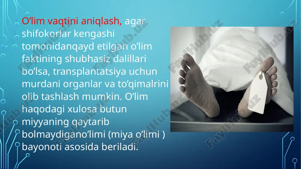 murdadonorligidarozilikprezumpsiyasimodeli - Page 5