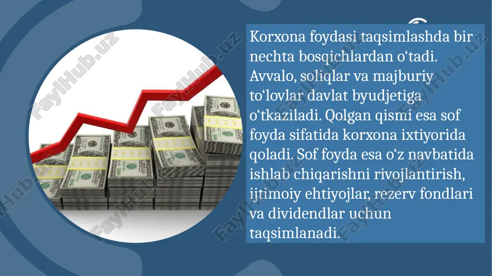 korxona foydasining taqsimlanishi va ishlatilishi - Page 5