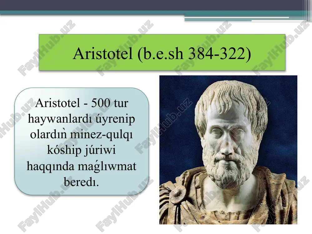 ekologiyag'a tiyisli bilimlerdagi qaliplesiwi - Page 5