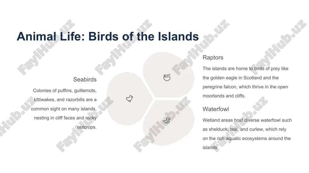 exploring modern britain's islands: geography, flora, and wildlife - Page 5