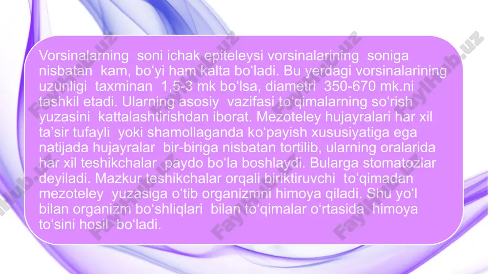 ti, 4-bazal membrana, 5-biriktiruvchi tо‘qima. kо‘p qavatli muguzlanadigan yassi epiteliy. epiteley tо‘qimasining bu turi odam va hayvonlar terisining yuzasini qoplab turadi. teri asosan ikkita qalin qavatdan tuzilgan. bulardan birinchisi tashki epiteliy hujayralardan tashkil topgan epidermis, ikkinchisi uning ostida joylashgan asosiy qavat dermadir. ularni bir-biridan ajratib turuvchi bazal membrana joylashgan. epimdermis qavatning о‘zi esa bir necha qavatni tashkil etuvchi epiteley hujayralardan iborat. epidermis о‘ziga xos morfologik tuzilishi va fiziologik vazifalariga ega bir necha qavat xujayralardan iborat. bu bazal xujayralar qavati bir qator bazal membranalar joylashuvi silindrsimon shaklga ega xujayralardir. bu xujayralar ustida bir necha qavatni tashkil etuvchi о‘simtali xujayralar qavati yotadi. undan keyin 2-3 qavatni tashkil etuvchi donador hujayralar qavati, sо‘ng yaltiroq va muguzlangan xujayralar qavati bor. bazal xujayralar bо‘yi uzun, bir-birlariga teng shakli silindrsimon bо‘lib, bazal membranada bir qator bо‘lib joylashgan. bu xujayralar kо‘payish xususiyatiga ega. u yuqoridagi qavatda tо‘kilib turuvchi xujayralar о‘rnini tо‘ldirib turadi. bazal xujayralar ustki qavatni tashkil …