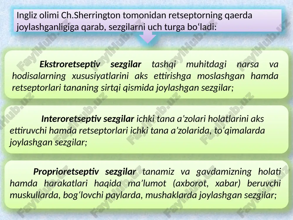 irlikning o‘zgarishi tashqi chegaralarga bog‘liq bo‘lsa, sensibilizatsiyada psixologik, fiziologik holatlarga bog‘liq bo‘ladi. sinesteziya qo‘zg‘atuvchining bir analizatorga ta’siri bilan boshqa analizatorga xos sezgining paydo bo‘lishidir. sezgilar kontrasti qarama-qarshi sifatga ega bo‘lgan bir vaqtdagi qo‘zg‘alish tufayli sezgirlikning o‘zgarishidir. s.v.kravkov (1893-1951) ma’lumotlariga ko‘ra bir sezgi a’zolarining faoliyati ikkinchisining ta’siri tufayli o‘zgaradi, tovush asosan ko‘rish sezgisi, yorug‘lik sezuvchanligini orttiradi, shunga o‘xshash turli hidlar hamda yorug‘lik va hid bilishga nisbatan sezgirlikni oshirishi yoki kamaytirishi mumkin. bunday o‘zaro ta’sir sababli miya ustuni yuqori qismi va ko‘rish bo‘rtiqlariga tegishli o‘simtalarning yaqin joylashganligi tufayli boshqasiga o‘tishi osonroq amalga oshadi. i.p.pavlov tomonidan analizatorlarning murakkab o‘zaro ta’sir shakllari mavjud ekanligi qayd etilgandir. ular bevosita bosh miya po‘stida namoyon bo‘lib, bir vaqtning o‘zida ko‘rayotgan jismni, eshitilayotgan tovushni, kelayotgan hidni sezishimizda o‘z ifodasini topadi. bu bosh miya po‘stida kechadigan fiziologik jarayonlarni bosib o‘tishi zarur bo‘lgan zonalar perekretik zonalar deb nomlanadi. sezgilarning klassifikatsiyasi ularning turli spesifik tavsiflariga, ya’ni moddalligiga qarab emas, balki tashkil …
