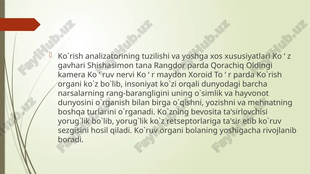 ko`rish analizatorlari - Page 5