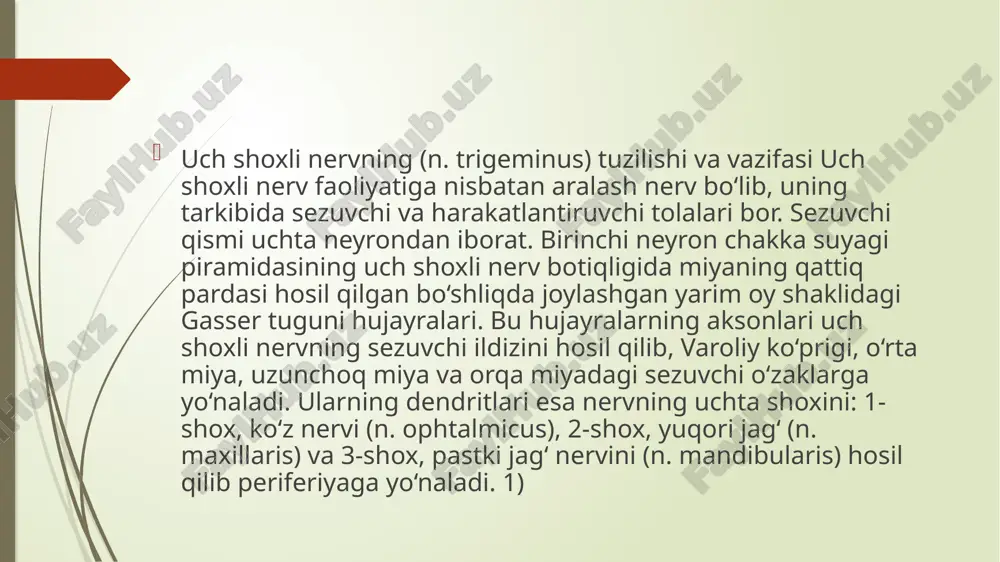 bosh va orqa miya nervining fiziologiyasi - Page 5