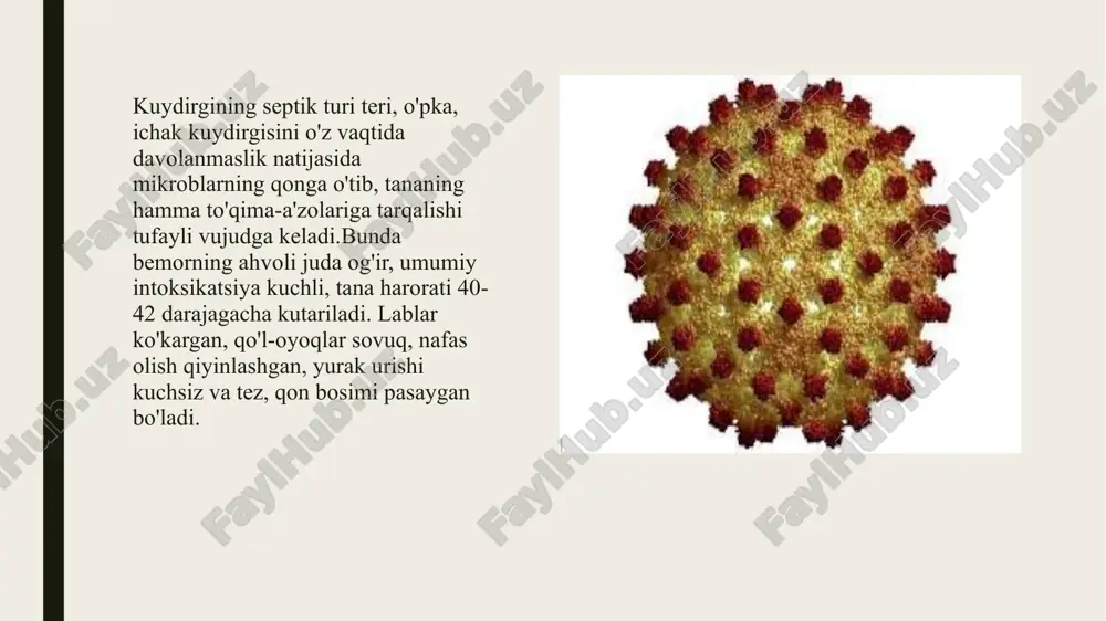 llanish xavfi shuncha ko'p bo`ladi. tibbiy kuzatuvlarning aniqlashiga ko`ra odamning yuz sohasi tishlanganlarning uchtadan ikkitasi, oyoq sohasi tishlanganlarning to'rtadan bittasi kasallangan. belgilari. kasallik to'rt davrda kechadi: 1. kasallikning yashirin davri - 1 oydan 3 oygacha, ayrim hollarda 10 kungacha qisqarishi yoki 1 yilgacha va undan ko'proq uzayishi mumkin. 2. kasallikning boshlanish davri - 1-3 kun bo`lib, quyidagi belgilar bilan xarakterlanadi: tishlangan joyning yarasi bitib ketishiga qaramasdan, shu joyning terisi qaytadan yallig'lanadi, qichiydi, og'riydi, og'riq nerv tolasi bo'ylab tananing yuqori qismiga tarqaladi. bemorning boshi og'riydi, bo`shashadi, ichi ketadi, og'zi quriydi, tana harorati ko'tariladi. uyqusizlik, qo'rqinchli tushlar ko'rish, sababsiz qo'rqish, kayfiyatini tushishi, g'amginlik kuzatiladi. 3.kasallikning avj olish davri - bemorda qo'zg'olish, notinchlik yuzaga keladi. suv icholmaydi, hatto suvni ko'rganida halqum va hiqildoq muskullari tirishib, nafasi qisib qoladi. bemorning tana harorati ko'tariladi, nafas va yurak- tomir ishi buziladi.bu davr 2-5 kungacha davom etishi mumkin. 4. terminal (paralich) davri - bemor tinchlanadi, qo'rqish yo'qoladi, …
