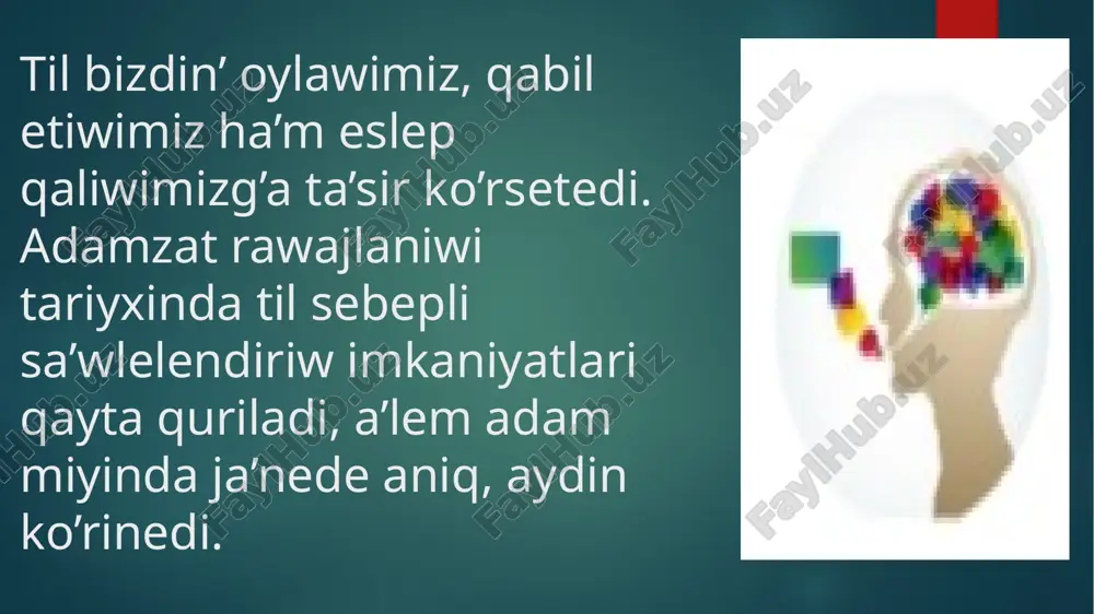 psixikalıq processlerdiń qáliplesiwinde tildiń áhmiyeti - Page 5