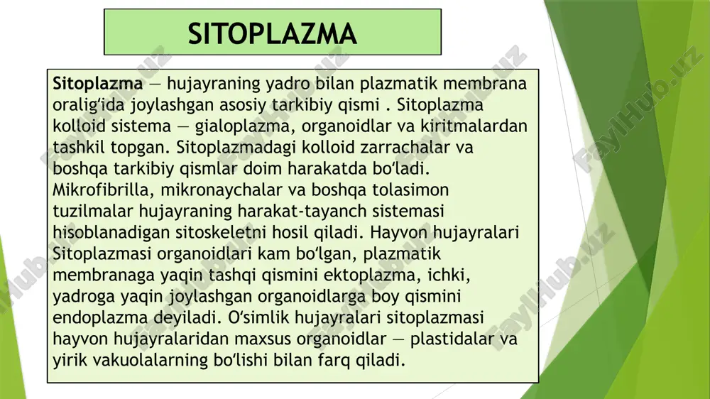 klik-protoplazmaning eng muhim xususiyatlaridan biri hisoblanadi. tirik protoplazmaning mexanik ta’sir natijasida o’zgarishi, so’ngra o’zining avvalgi holatiga qaytish xususiyati elastiklik deb ataladi. protoplazmaning ma’lum bir tuzi ima tarkibi uning elastikligiga sabab bo’ladi qovushqoqlik-hujayraning eng muhim xususiyat bo’lib unirg faolligint ko’rsatadi. qovushqoqlik deganda, eritmaning ushbu eritmadagi zarrachalaing o’zaro aralashishiga to’sqinlik qilish, qobiliyatiga aytiladi. qovushqoqlik sitoplazmani wuzilishini va kolloid zarrachalarning tortishuv kuchini belgilaydi. qovushqoqlik darajasi o’simlik turiga, naviga qarab o’zgaradi. ekologik omillar qovushqoqlikka bevosta ta sir etadi. masalan. qurg’oqchilka chidamli o’simlikdlar qovushqoqligimezofitlarga nisbatan yuqori b o’lsa, suvio’tlar hujayralarida buning teskarisi, ya’ni past bo’ladi, diffuziya va osmos hodisasi bir modda zarrachalarining ikkinchi modda zarrachalarining taqsimlanishini ta’minlovchi jarayonni diffuziya deyiladi erituvchi zarrachalarining yarim o’tkazgich parda orqali o’tish jarayoni osmos deyiladi. tashqi muhitdan hujayraga suvning kirishi hujayraning kolloid va osmotik xususiyatlaridan kelib chiqadi. masalan, quruq urug’ tuproqdan suvni shimib bo’rtadi, hajmi kattalashadi. urug’ mag’zida zahira moddalar ya’ni oqsillar, kraxmal hamda yog’larning mavjudligi urug’ning suvni katta kuch …