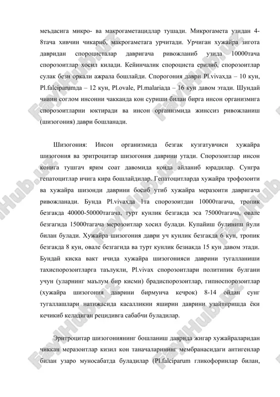 а pl.falciparumларда 48 соатда, pl.malariaда 72 соатда тугалланади. бу даврда pl.vivax ва pl.ovale ёш эритроцитларда (ретикулоцитларда) паразитлик килса, pl.malaria балогат ёшидаги эритроцитларда, pl.falciparum эса хамма ёшдаги эритроцитларда яшайди. эритроцитлардан чиккан меразоитларнинг бир кисми яна кайтадан эритроцитларга кириб, олдинги боскични кайтадан босиб утса, колган кисми жинсий хужайраларга (микро- ва макрогаметоцитларга) айланади. эпидемиологияси. табиий шароитда безгак – антропоноз, трансмиссив инвазиядир. шунинг билан биргаликда трансмиссив инфекциялар ичида энг куп таркалганидир. безгак каалини кузгатувчисини манбаи бемор ёки соглом паразит ташувчидир. табиий шароитда безгакни бирдан-бир юкиш йули трансмиссив йул бўлиб, касалликни юкиши уз танасида спорогония даврини тугаллатган анофелес чивинининг ургочиси соглом одамни чакканда руй беради. анофелес чивинининг купаядиган жойи кичик, секин окадиган, яхши илийдиган (анофелоген) сув хавзаларидир. чивиннинг ривожланиш даври ташки мухитни хароратига караб 2-4-5 хафта ва ундан куп давом этиши мумкин, хамда тухум – личинка – кугирчок – имаго (капалак) фазаларини босиб утади. ташки мухитни харорати 10осдан паст булса чивинни ривожланиши тухтайди. шунинг учун …