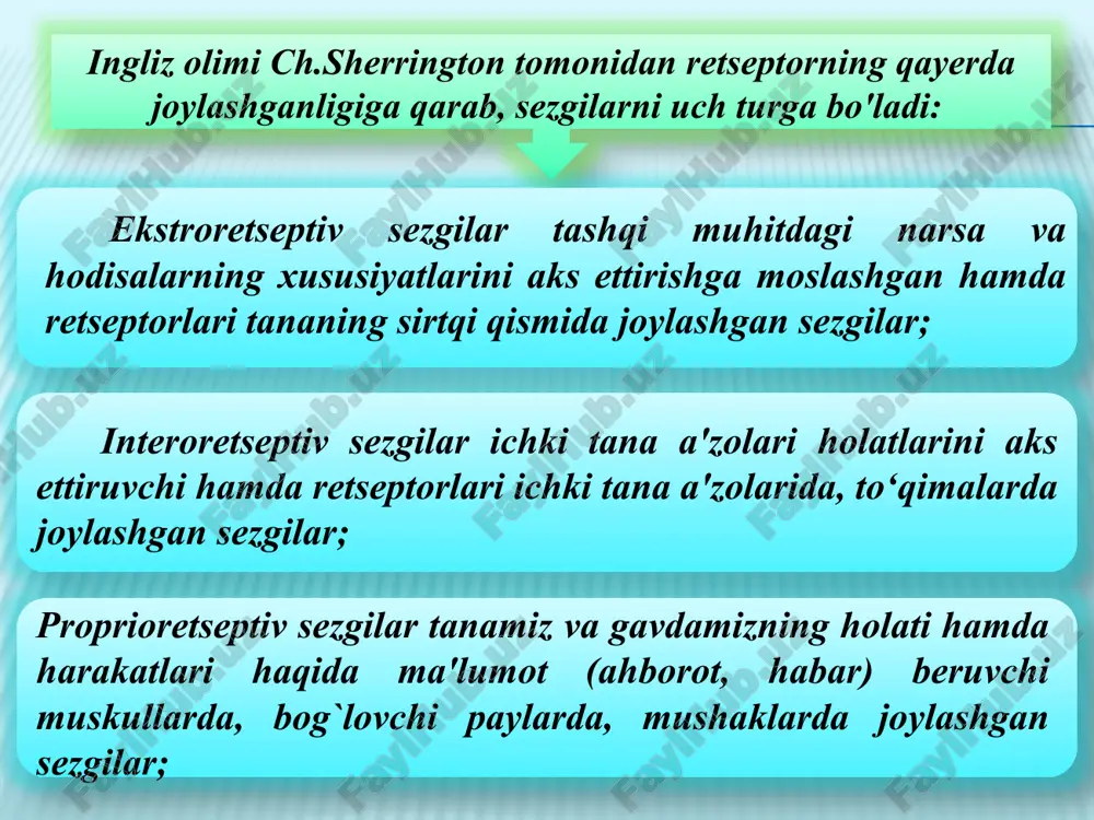 zgilarga quyidagilar kiradi: og`riq sezgilari; chanqoq sezgilari; nohush tuyg`ular; ochlikni sezish. sezgilarning xususiyatlari quyidagilardan iborat: sifat – mazkur sezgining asosiy xususiyati bo'lib, uni boshqa sezgi turlaridan farqlaydi va ayni shu sezgi turi doirasida o'zgarib turadi. sezgining jadalligi uning miqdorini ifoda etadigan hususiyat bo'lib, ta'sir kelayotgan qo`zg`atuvchining kuchi va retseptorning funksional holati bilan belgilanadi. sezgining davomiyligi uning vaqtinchalik xususiyati hisoblanadi. bilinar – bilinmas sezgi hosil qiluvchi qo`zg`tuvchining minimal kuchi sezgirlikning quyi chegarasi deyiladi. sezgi chegarasining me'yori qanchalik kichik bo'lsa, mazkur analizatorning sezgirligi shunchalik yuksak bo'ladi. formulasi е= — 1 p1 е – sezgirlik r-qo'zg’atuvchining ta'sir me'yori. sezgining mutlaqo yuqori sezuvchanligi deb qo'zg’atuvchining kuch bilan ta'sir qilishiga aytiladi. sezgilar o'rtasidagi bilanar – bilinmas farqni hosil qiluvchi ikkita qo'zg’atuvchi o'rtasida mavjud bo'lgan minimal farq ajratish chegarasi yoki ayirma chegarasi deb ataladi. farqlanishning aksariyat analizatorlari uchun doimiy bo'lgan nisbiy o'lchash bilan belgilanadi. ko'rish analizatori uchun bu nisbat tahminan eshitish analizatori uchun bu nisbat tahminan …