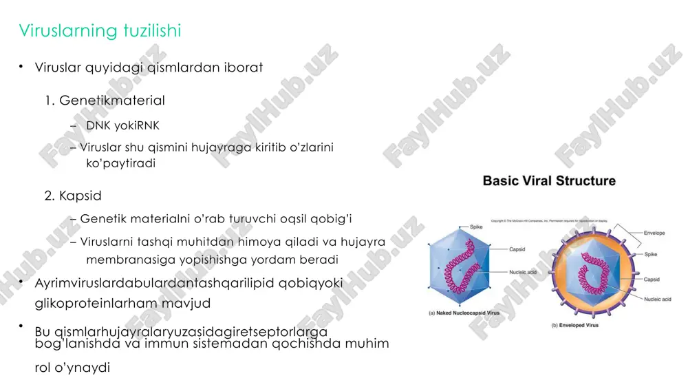 riyig’iladivahujayradan chiqadi virus dnk sihujayraninggenetikmaterialigabirikadi 5. yig’ilishvachiqish 4. transkripsiyavatranslyatsiya klassifikatsiya va ta’sir mexanizmi ●bu dorilarasosanoiv infeksiyasinidavolash 5) fuziya ingibitorlari 6)ccrs antogonistlari uchun foydalaniladi ● klassifikatsiyasi virusni hujayra ichiga kirib ko’payishining bosqichlariga ta’sir qilishiga qarab qilinadi: 1) nukelozid teskari transkriptaza ingibitorlari 2) non-nukelozid teskari transkriptaza ingibitorlari 3) proteaza ingibitorlari 4) integraza ingibitorlari 1. nukleotid teskari transkriptaza ingibitorlari vakillari • • • • zidovudin abacavir lamivudin virus rnk sidnk gaaylanayotganda nukleotidlar qo’shilib teskari transkriptazani ingibirlaydi ta’sir mexanizmi 2. non-nukleozidteskaritranskriptaza ingibitorlari vakillari ta’sir mexanizmi • • • efavirenz nevirapin teskari transkriptaza fermentini to’g’ridan-to’gri ingibirlaydi 3. proteazaingibitorlari vakillari ta’sir mexanizmi • • • ritonavir lopinavir virus proteazasiniingibirlab, yangivirus yig’ilishini to’xtatadi 4. integratsiyaingibitorlari vakillari • • • raltegravir elvitegravil virus dnksinihujayraninggenetikmaterialiga integratsiyalanishini ingibirlaydi ta’sir mexanizmi 5. fuziyaingibitorlari vakili ta’sir mexanizmi • • • enfuvirtid virusni hujayra membranasiga birikishini va kirishini to’xtatadi bu ta’sirvirus tashqiqoplamidagi glikoproteingabog’lanib, unihujayra yuzasidagi retseptorga ta’sirini ingibirlash orqali kelib chiqadi 6. ccrs …