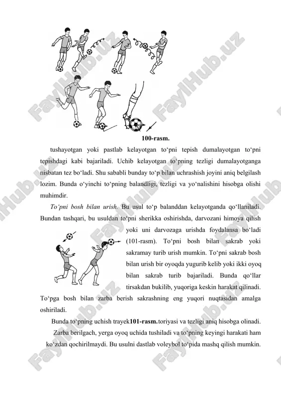 kin. to‘pni sakrab bosh bilan urish bir oyoqda yugurib kelib yoki ikki oyoq bilan sakrab turib bajariladi. bunda qo‘llar tirsakdan bukilib, yuqoriga keskin harakat qilinadi. to‘pga bosh bilan zarba berish sakrashning eng yuqori nuqtasidan amalga oshiriladi. bunda to‘pning uchish trayek101-rasm. toriyasi va tezligi aniq hisobga olinadi. zarba berilgach, yerga oyoq uchida tushiladi va to‘pning keyingi harakati ham ko‘zdan qochirilmaydi. bu usulni dastlab voleybol to‘pida mashq qilish mumkin. to‘pni to‘xtatish. to‘pni dumalayotganda yoki uchib kelayotganda to‘xtatish uning harakat yo‘nalishini o‘zgartirish uchun zarur. muhimi, to‘pni to‘xtatishda u oyoqdan sakrab ketmasin (102- rasm). oyoq yuzining ichki tomoni bilan to‘pni to‘xtatish. bu usul dumalab yoki uchib kelayotgan to‘pga nisbatan qo‘llaniladi. bunda gavda og‘irligi tayanch oyoqda bo‘ladi. to‘xtatadigan oyoq oldinga cho‘ziladi, so‘ngra u tayanch oyoq qadar orqaga tortiladi. to‘p tezligi susayadi va to‘xtaydi. dumalayotgan to‘pni oyoq osti bilan to‘xtatish. qabul qilayotgan oyoq tizzadan bukilib to‘pni qabul qilib oladi. oyoq kafti, tovon 5 — 10 sm …