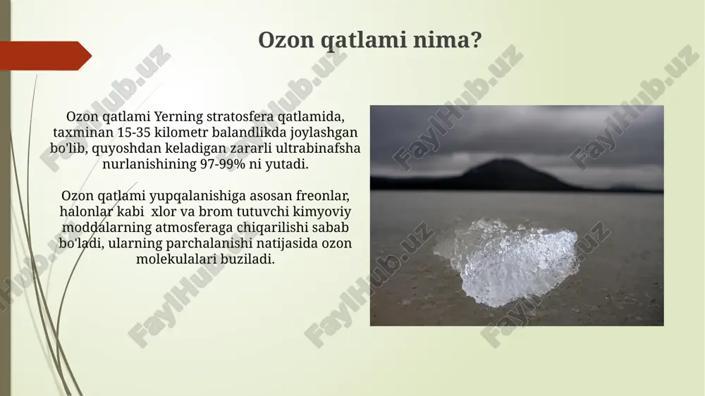 ozon qatlami muammolari - Page 5