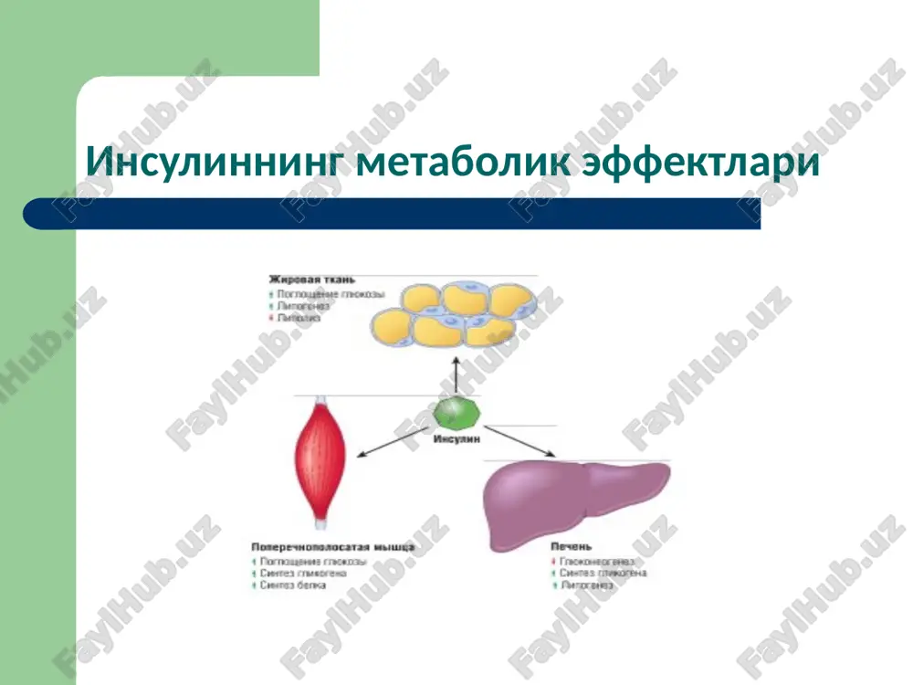 моддалар алмашинуви ҳасталиклари - Page 5