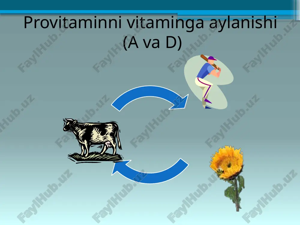 yog‘da eriydigan vitaminlar - Page 5