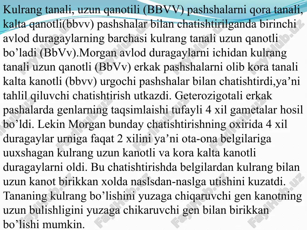 irsiyatning xromosoma nazariyasi - Page 5