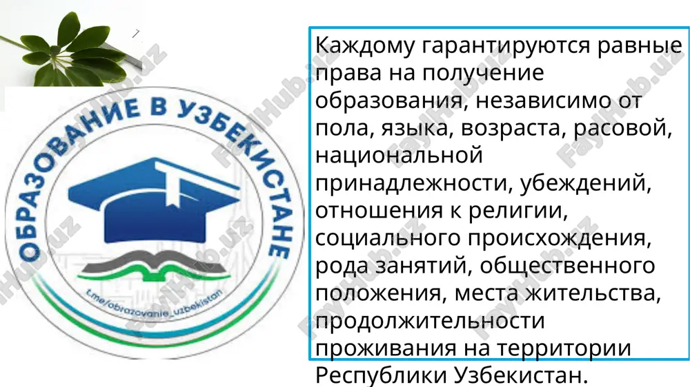образование в узбекистане - Page 5
