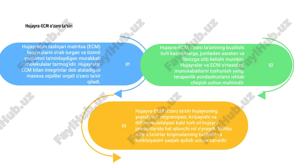 hujayra va hujayradan tashqari matriks orasidagi munosabatlar - Page 5