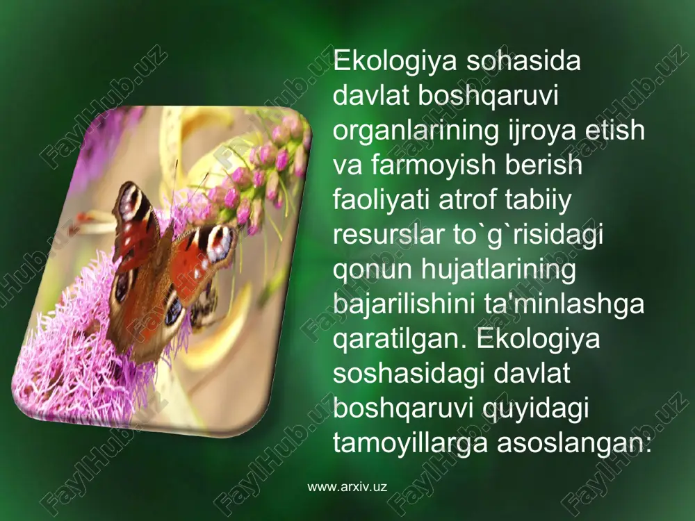 ekologiya sohasida davlat boshqaruvi - Page 5