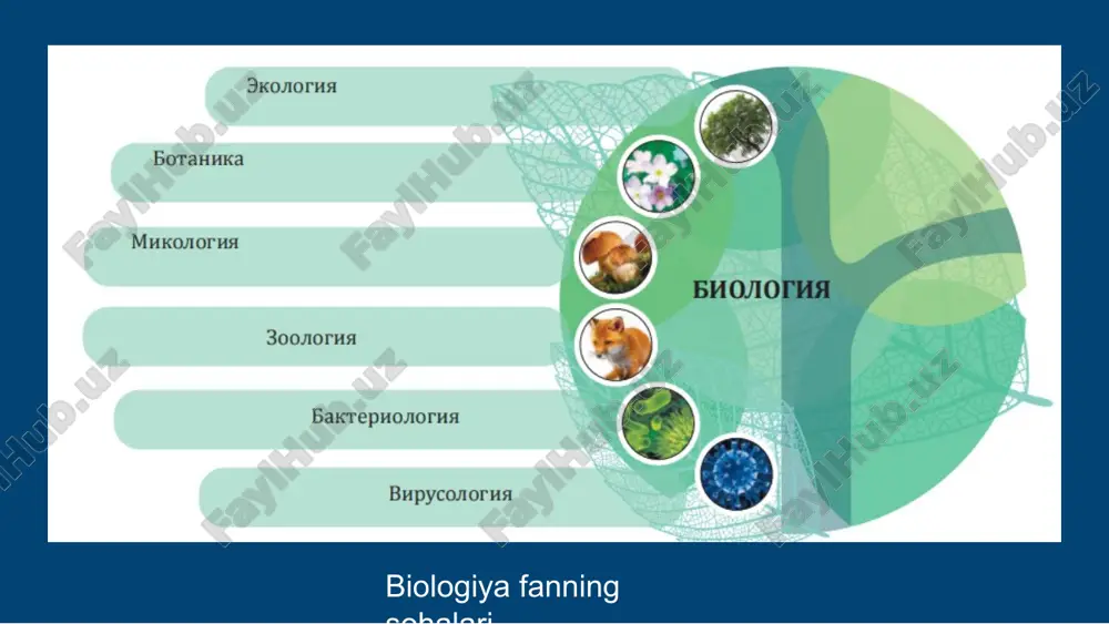 biologiya-hayot haqidagi fan - Page 5