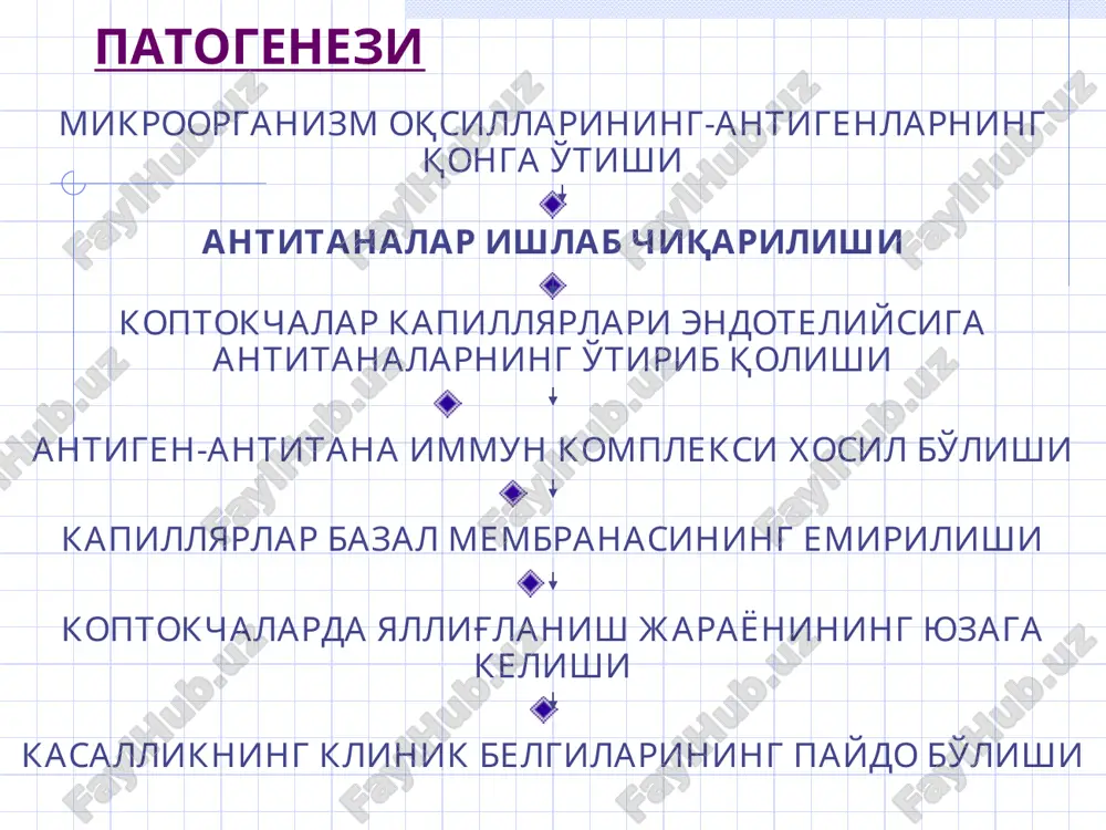 гломерулонефритлар - Page 5