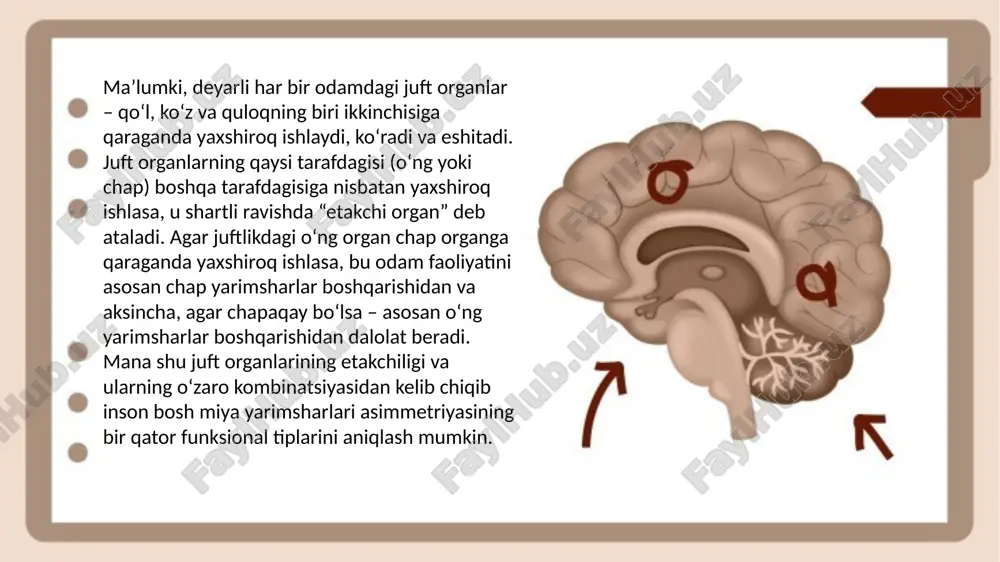 clinical case in neurology - Page 5