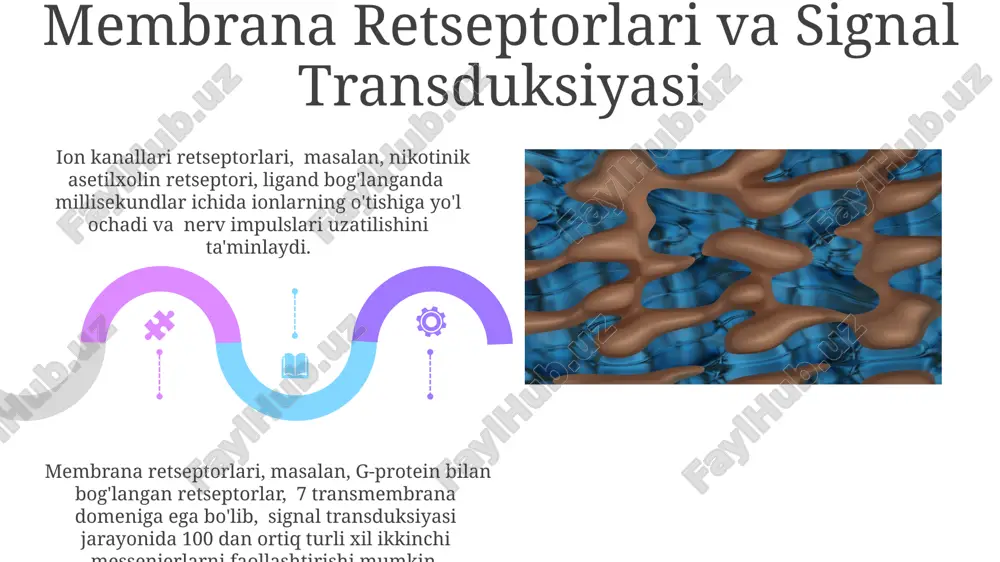 biologik membranalar - Page 5