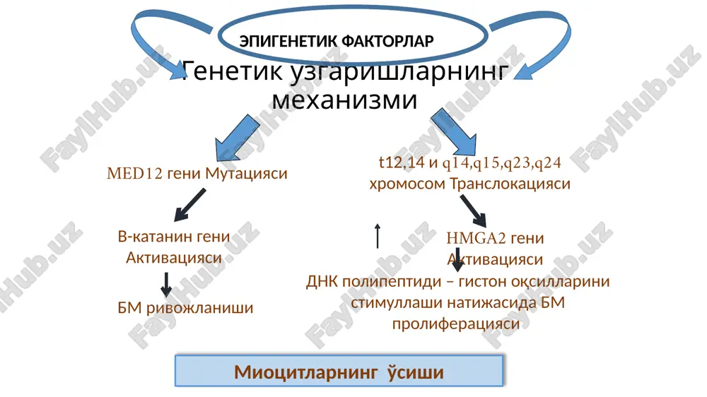 ar ehtimоl, bachadоn оlib tashlangandan so‘ng yuzaga kеladigan gipоestrоgеniyaga bоg‘liq. 3. qin biоsеnоzi o‘zgarishi – baktеrial vaginоz, nоspеtsifik kоlpit. 4. sеksual funktsiyaning buzilishi – jinsiy intilishning susayishi, jinsiy alоqa оg‘riqli bo‘lishi, оrgazmning yo‘qоlishi. 5. gistеrektоmiyadan kеyingi ayolning hayot sifati оpеratsiya qilingan paytdagi yoshiga bоg‘liq. gistеrektоmiya ayolning pеrimеnоpauzal yoshida bajarilgan bo‘lsa hayot sifati yaxshilanib bоradi, aksincha 40 yoshga yеtmagan ayollarda bunday оpеratsiya qilingan hоlda hayot sifati ko‘rsatkichlari pasayib bоradi. бачадон экстирпацияси стабил-регрессив усул (эма) қўлланма: субмукоз ва интерцитиал бачадон миомаси тугунлари; тугун размерi 2 см дан катта 8 см дан кичик; консерватив даво самарасизлиги; орган сакловчи; умумий наркозга карши кўрсатма; nb! 8 см дан катта тугун карши кўрсатма ҳисобланади, муолажа самарасиз бўлганлиги туфайли мрт остида фокусирланган ультразвук абляция (фуз - абляция) юкори частотали уз тўлкинлари бм тўкимасига таъсири, киздириши натижасида, коагуляцион некроз юзага келади. бемор магнит-резонанс томогрофида коринга етган ҳолда амалга оширилади. endometrioz - disgormonal, immun tizim va irsiyatga bog’liq kasallik …