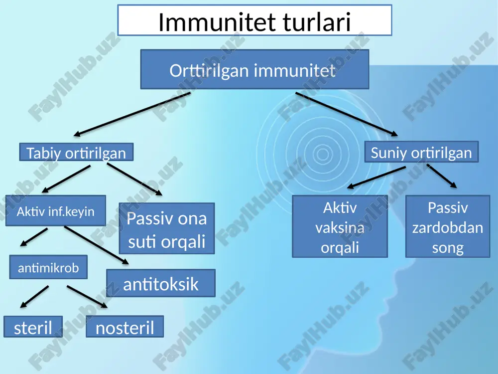 immunitet nazariyasi - Page 5