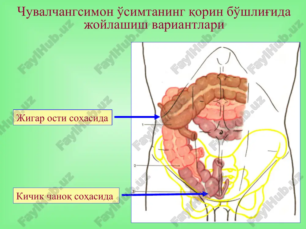 кўрсатмалар 1. бемор 48 соатдан кейин мурожат қилганда. 2. тарқалган перитонитда, бунда қорин бўшлигини санация қилиш техник жихатдан қийиндир. 3. лапароскопияга умумий қарши кўрсатмалар: ўпка-юрак етишмовчилиги, хомиладорликнинг охириги ойларида, миокард ўткир инфарктида, қорин бўшлиғи босимини ошириб бўлмайдиган қўшимча касалликлар бўлганда, қорин бўшлиғида кучли чандиқланиш жараёни бўлганда. презентация powerpoint 29,2% 18,7% 14,8% 0% 20% 40% до 2 лет 2-10 лет 15-25 лет 40 лет60 ёш70 ёш80 ёш 13,2% 1,4% 64,2% 83,6% 22,6% 15,1% 0% 50% 100% 0% 20% 40% 60% 80% 100% 612182430364248546072 0% 20% 40% 60% 80% 100% 6121824303642 10,7% 0,6% 15,7% 2,7% 0% 10% 20% 0,6% 13,2% 0% 10% 20%